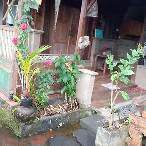 https://villa-joglo-house-nagi-ubud.hotelubudbali.com
